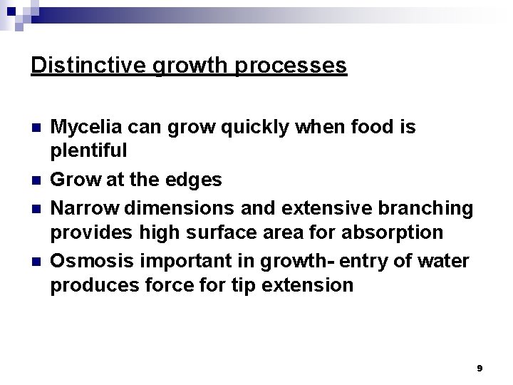 Distinctive growth processes n n Mycelia can grow quickly when food is plentiful Grow