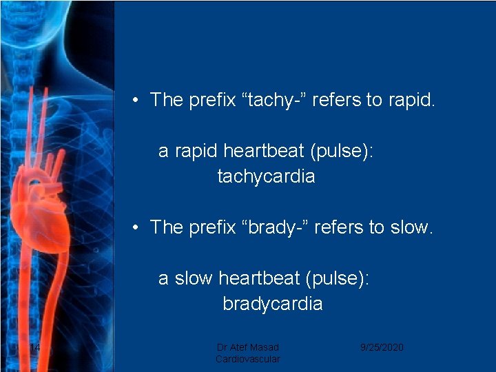 • The prefix “tachy-” refers to rapid. a rapid heartbeat (pulse): tachycardia •