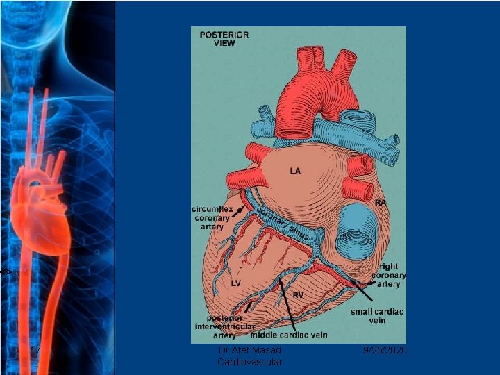 <> 17 Dr Atef Masad Cardiovascular 9/25/2020 