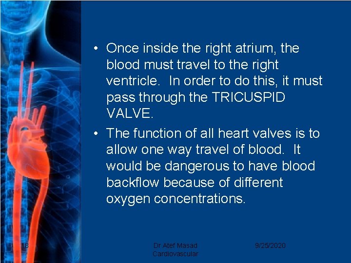  • Once inside the right atrium, the blood must travel to the right
