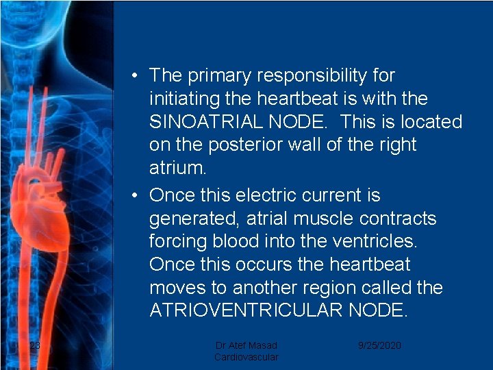  • The primary responsibility for initiating the heartbeat is with the SINOATRIAL NODE.