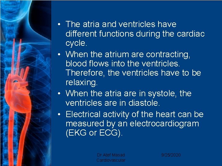  • The atria and ventricles have different functions during the cardiac cycle. •