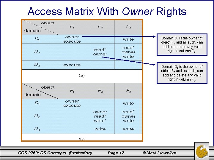 Access Matrix With Owner Rights Domain D 1 is the owner of object F