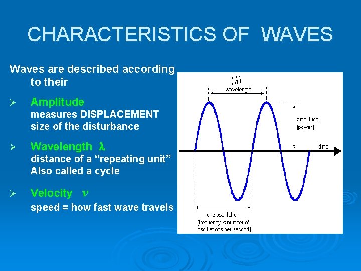 CHARACTERISTICS OF WAVES Waves are described according to their Ø Amplitude measures DISPLACEMENT size