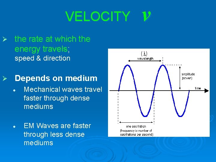 VELOCITY v Ø the rate at which the energy travels; speed & direction Ø