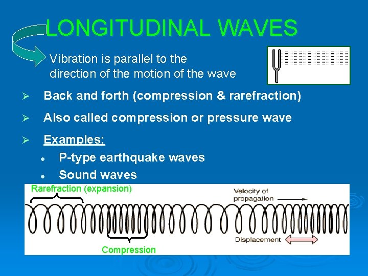 LONGITUDINAL WAVES Vibration is parallel to the direction of the motion of the wave