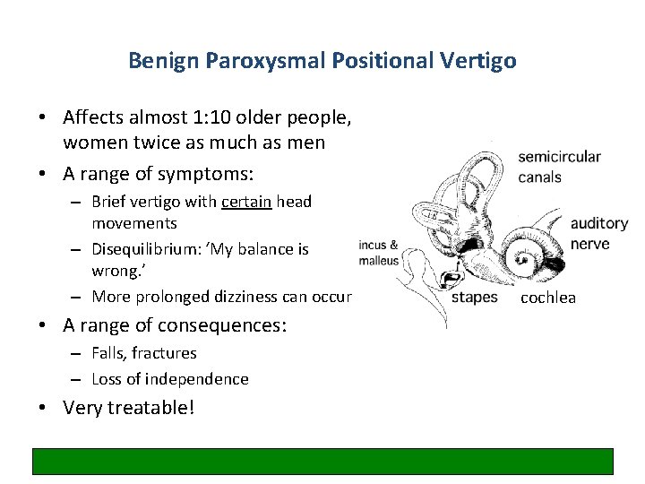 Benign Paroxysmal Positional Vertigo • Affects almost 1: 10 older people, women twice as