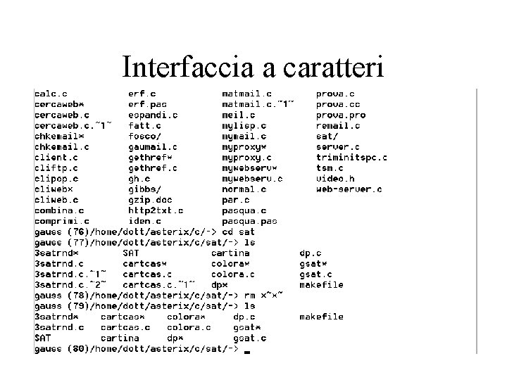 Interfaccia a caratteri 