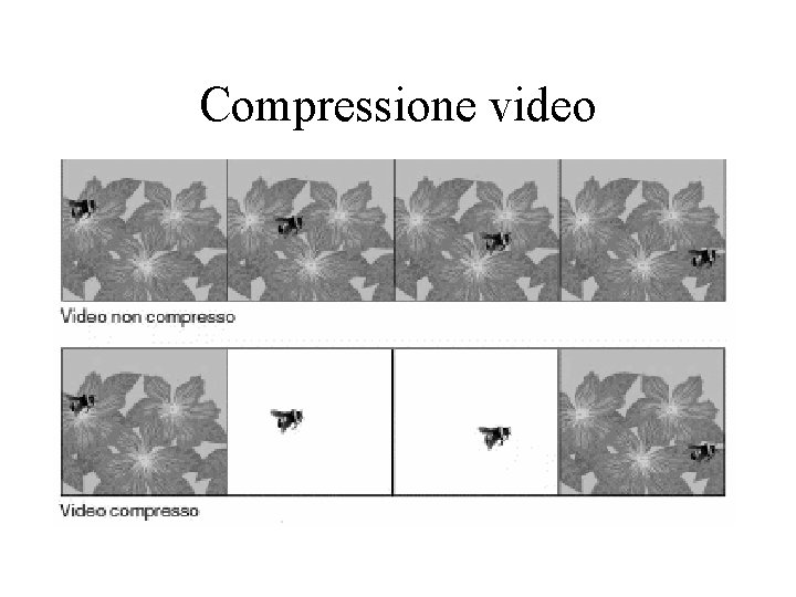 Compressione video 