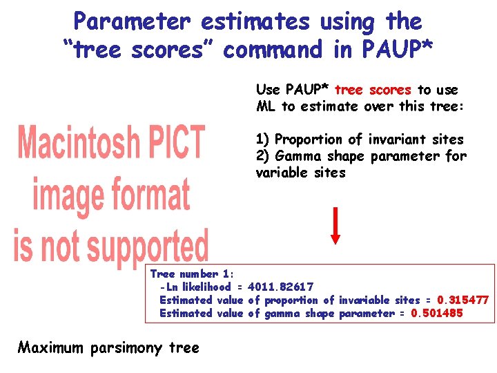 Parameter estimates using the “tree scores” command in PAUP* Use PAUP* tree scores to