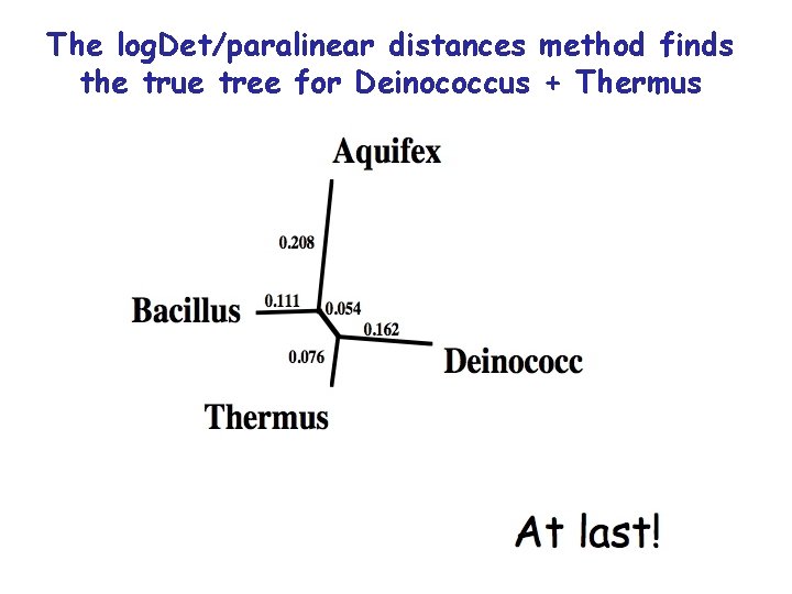 The log. Det/paralinear distances method finds the true tree for Deinococcus + Thermus 