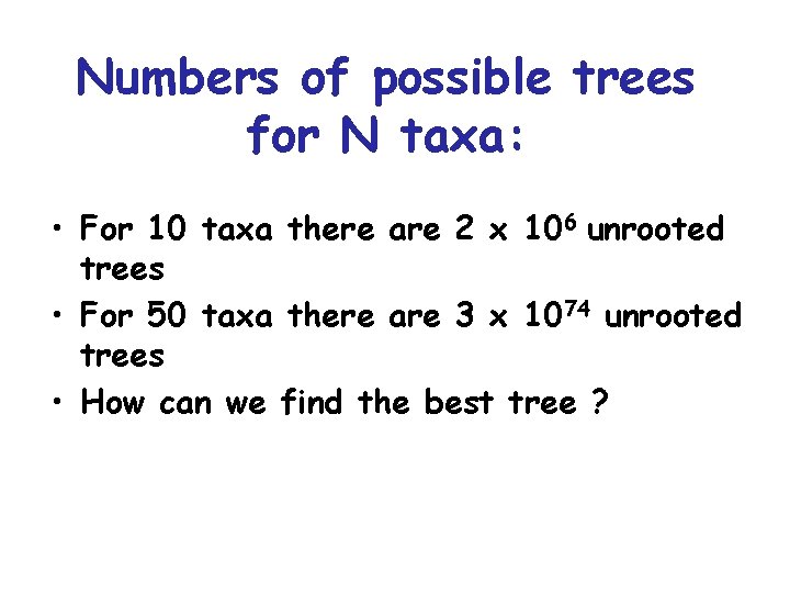 Numbers of possible trees for N taxa: • For 10 taxa there are 2