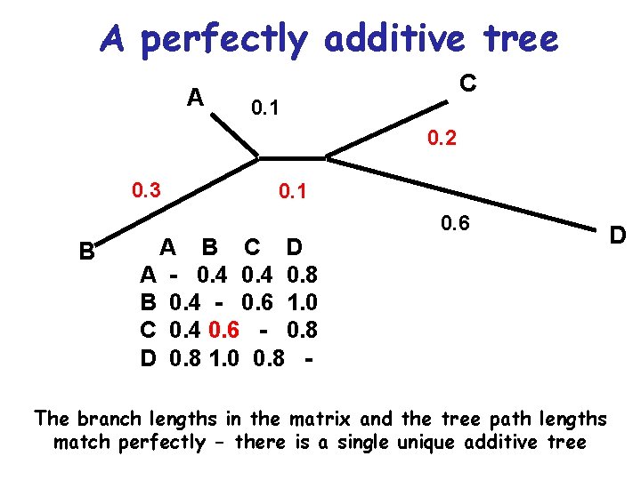 A perfectly additive tree A C 0. 1 0. 2 0. 3 B 0.