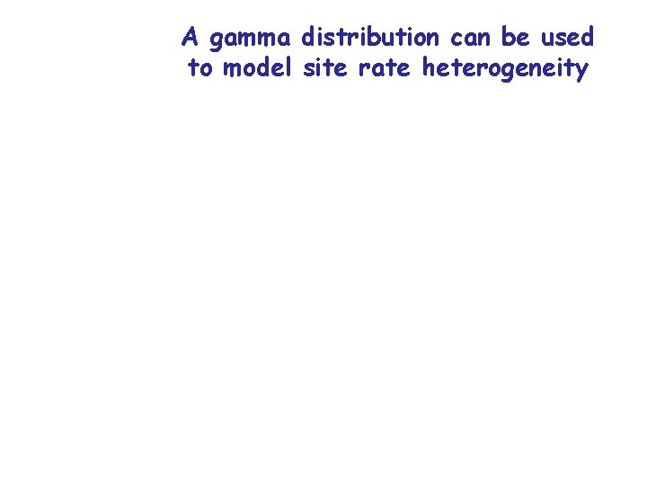 A gamma distribution can be used to model site rate heterogeneity 