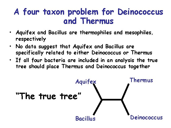 A four taxon problem for Deinococcus and Thermus • Aquifex and Bacillus are thermophiles