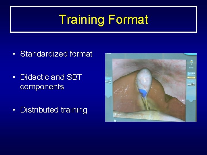 Training Format • Standardized format • Didactic and SBT components • Distributed training 