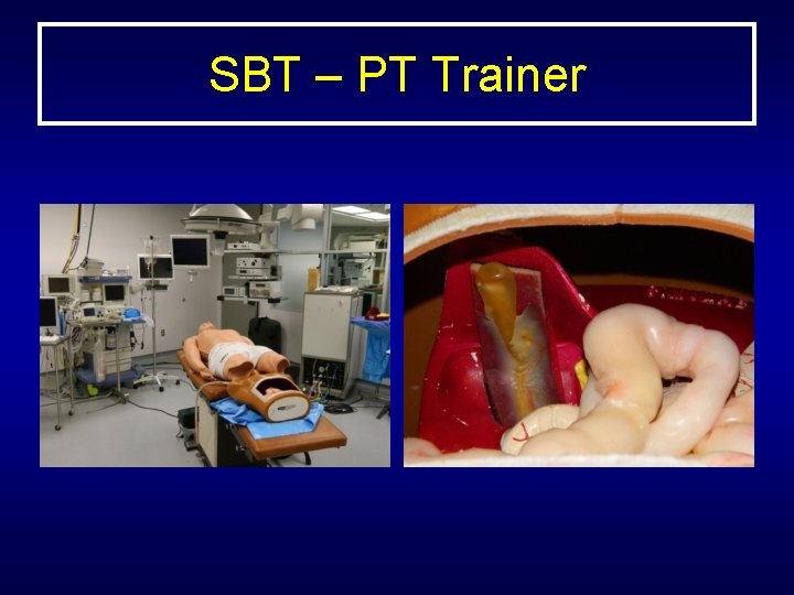 SBT – PT Trainer 