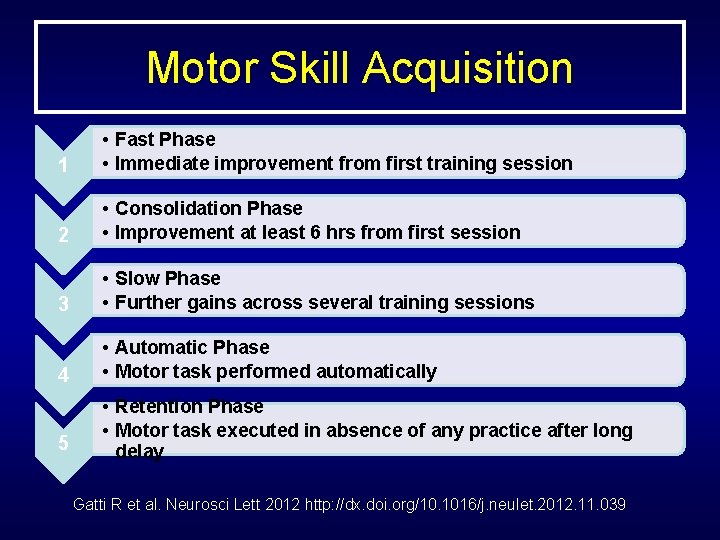 Motor Skill Acquisition 1 • Fast Phase • Immediate improvement from first training session