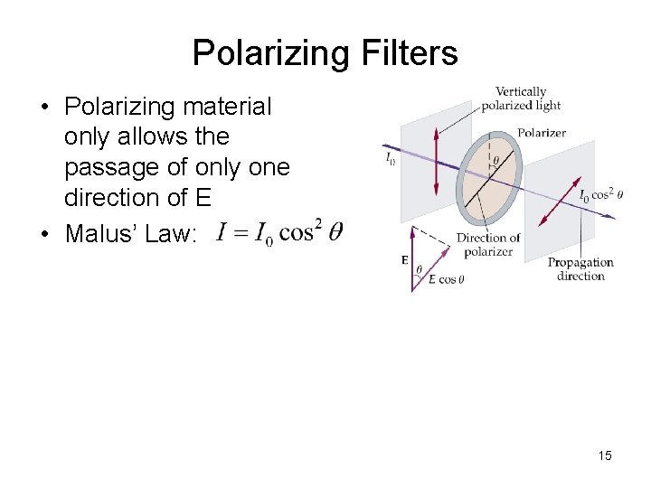 Polarizing Filters • Polarizing material only allows the passage of only one direction of