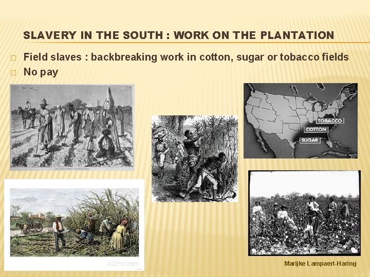 SLAVERY IN THE SOUTH : WORK ON THE PLANTATION � � Field slaves :