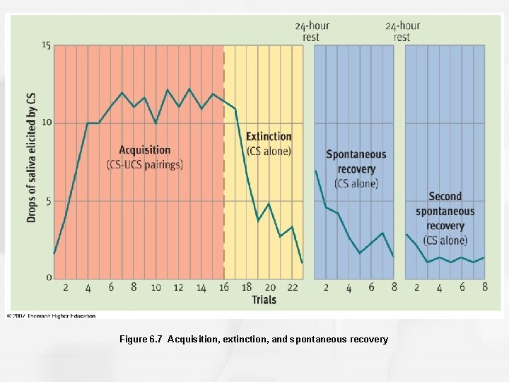 Figure 6. 7 Acquisition, extinction, and spontaneous recovery 