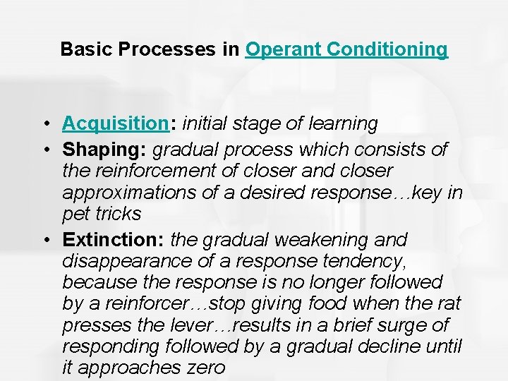 Basic Processes in Operant Conditioning • Acquisition: initial stage of learning • Shaping: gradual