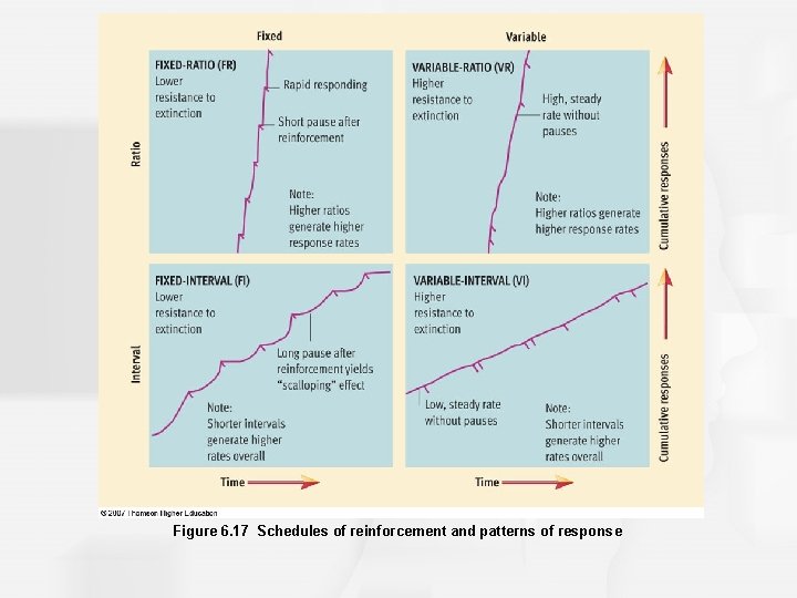 Figure 6. 17 Schedules of reinforcement and patterns of response 