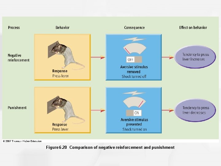 Figure 6. 20 Comparison of negative reinforcement and punishment 