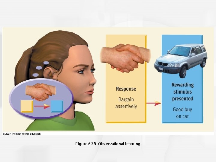 Figure 6. 25 Observational learning 