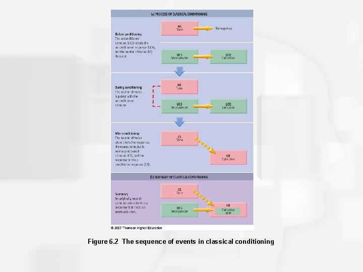 Figure 6. 2 The sequence of events in classical conditioning 