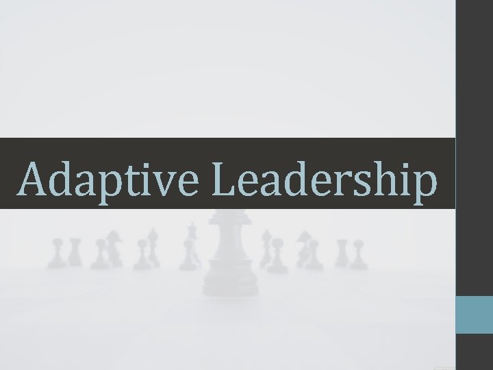 Adaptive Leadership 