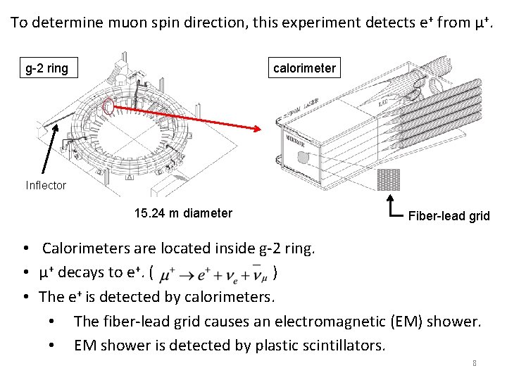 To determine muon spin direction, this experiment detects e+ from μ+. g-2 ring calorimeter To determine muon spin direction, this experiment detects e+ from μ+. g-2 ring calorimeter