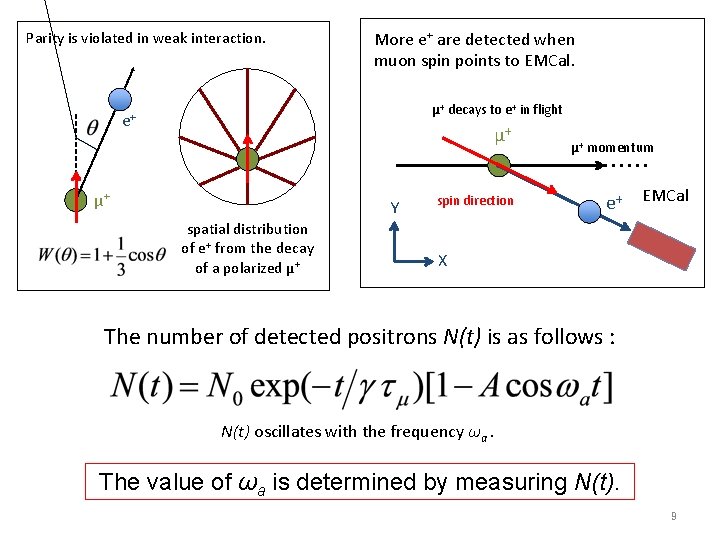 Parity is violated in weak interaction. More e+ are detected when muon spin points Parity is violated in weak interaction. More e+ are detected when muon spin points