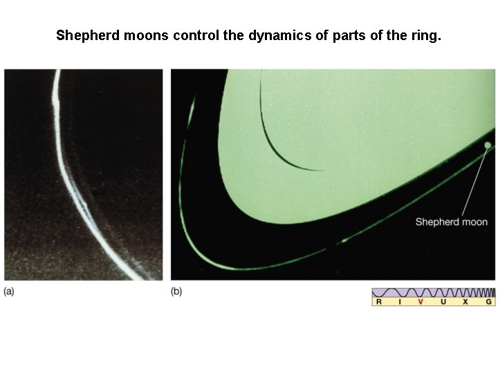 Shepherd moons control the dynamics of parts of the ring. Shepherd moons control the dynamics of parts of the ring.