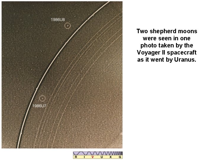 Two shepherd moons were seen in one photo taken by the Voyager II spacecraft Two shepherd moons were seen in one photo taken by the Voyager II spacecraft