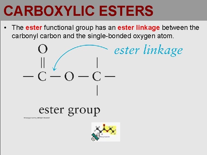 CARBOXYLIC ESTERS • The ester functional group has an ester linkage between the carbonyl