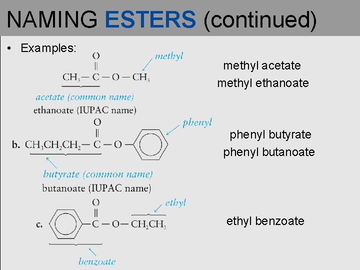 NAMING ESTERS (continued) • Examples: methyl acetate methyl ethanoate phenyl butyrate phenyl butanoate ethyl