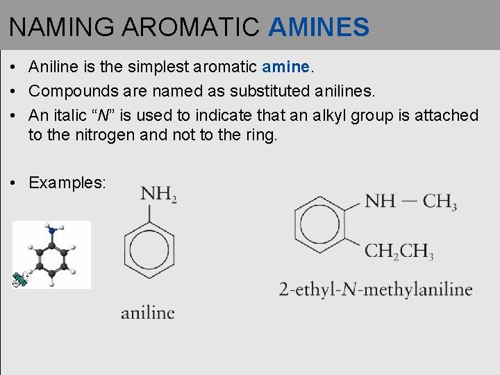 NAMING AROMATIC AMINES • Aniline is the simplest aromatic amine. • Compounds are named