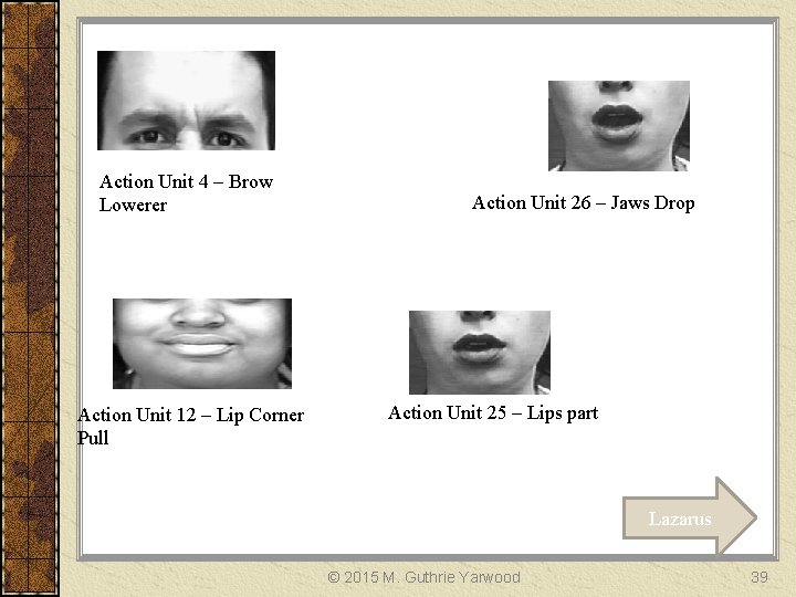 Action Unit 4 – Brow Lowerer Action Unit 12 – Lip Corner Pull Action