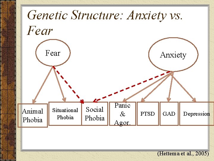 Genetic Structure: Anxiety vs. Fear Animal Phobia Situational Social Phobia Anxiety Panic & Agor.