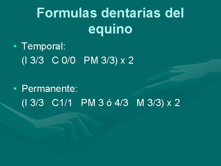 Formulas dentarias del equino • Temporal: (I 3/3 C 0/0 PM 3/3) x 2