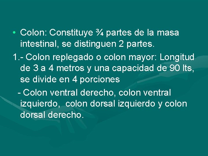  • Colon: Constituye ¾ partes de la masa intestinal, se distinguen 2 partes.