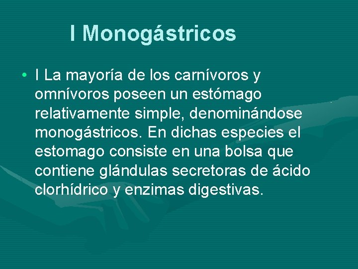 I Monogástricos • I La mayoría de los carnívoros y omnívoros poseen un estómago