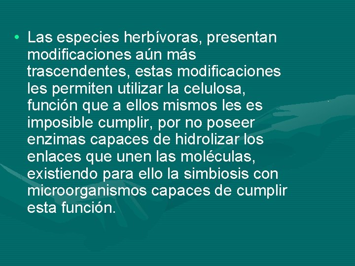  • Las especies herbívoras, presentan modificaciones aún más trascendentes, estas modificaciones les permiten