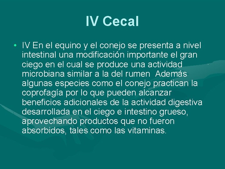 IV Cecal • IV En el equino y el conejo se presenta a nivel