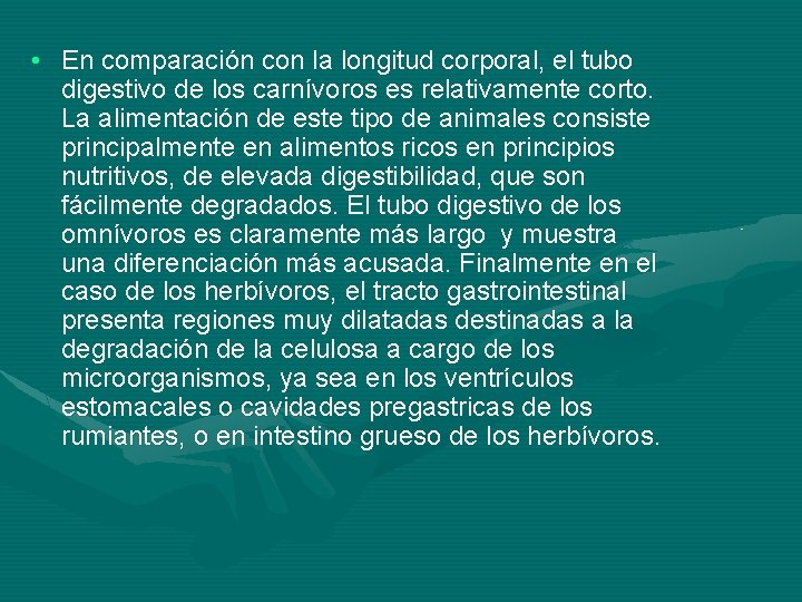  • En comparación con la longitud corporal, el tubo digestivo de los carnívoros