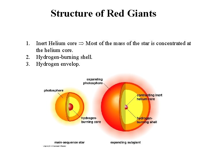 Structure of Red Giants 1. 2. 3. Inert Helium core Most of the mass