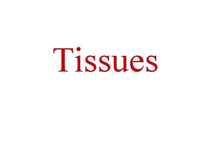 Tissues 