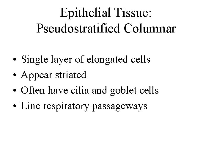 Epithelial Tissue: Pseudostratified Columnar • • Single layer of elongated cells Appear striated Often