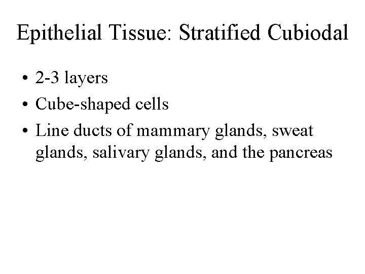 Epithelial Tissue: Stratified Cubiodal • 2 -3 layers • Cube-shaped cells • Line ducts